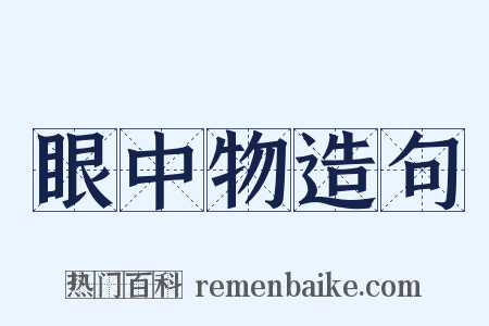 眼中物造句是什么意思的图片